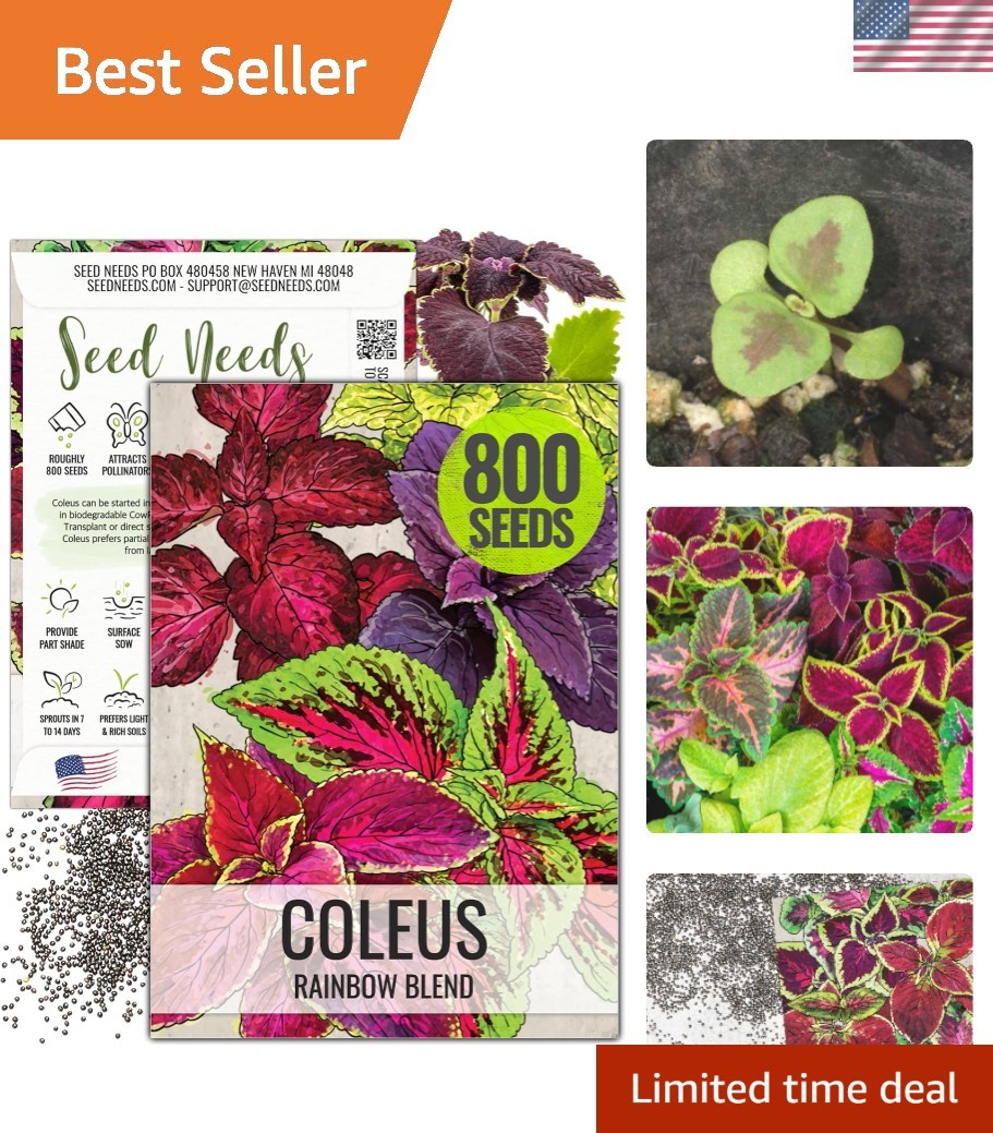 800 Heirloom Coleus Seeds – Rainbow Mix for Flourishing Gardens in Partial Shade