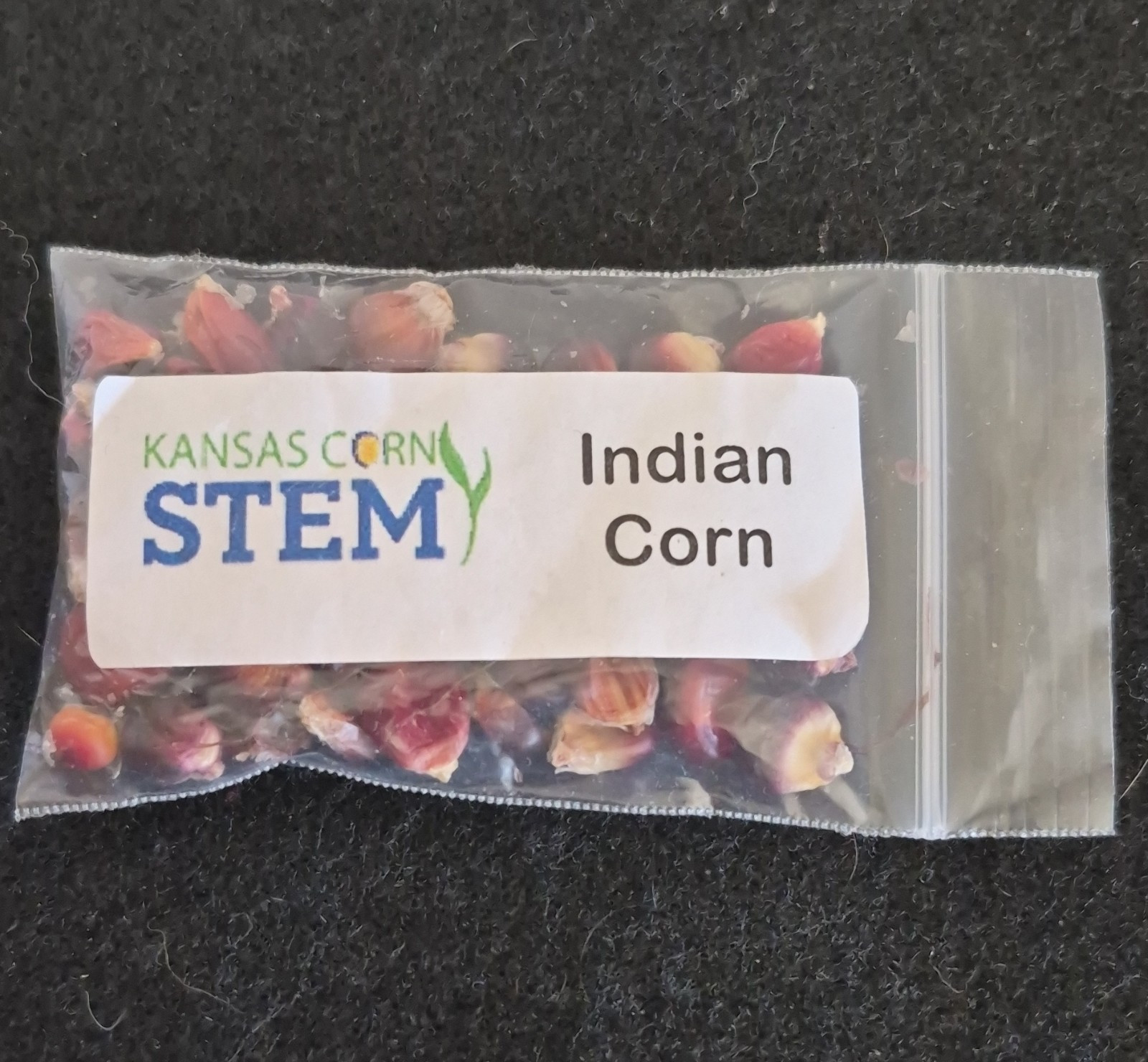 Kansas Corn STEM Indian Corn Seeds Packet Red Vegetable Seeds for Planting