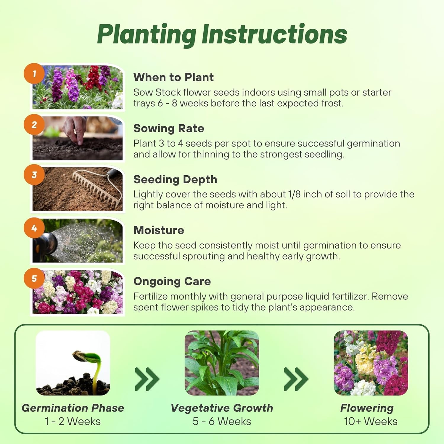1000 Seeds Stock Seeds – Stock Ten Week Mixed Flower Seed