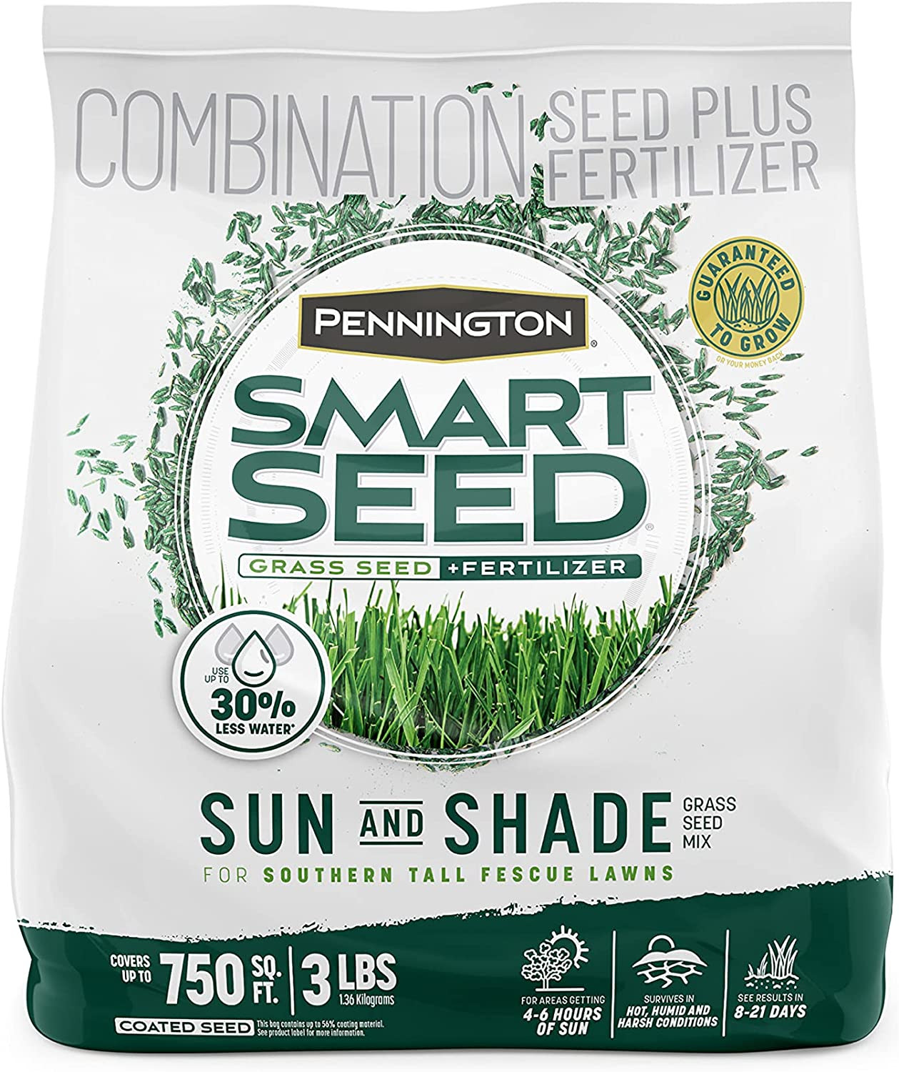 Pasto Festuca Alta Sol y Sombra Pennington Smart Seed