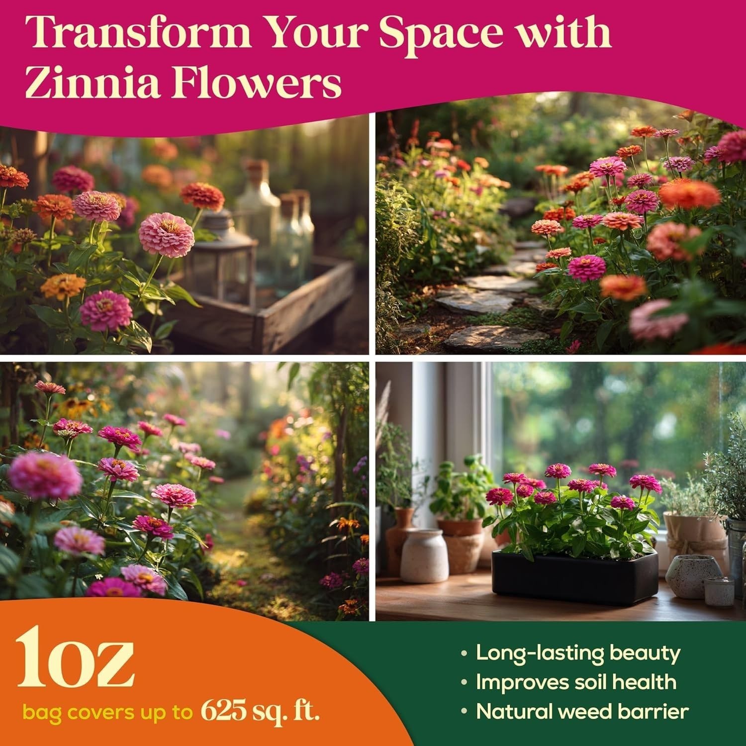 Zinnia Seeds Pack 1 oz – 3,800 Non-GMO Heirloom Zinnia Seeds for Planting, Pe…