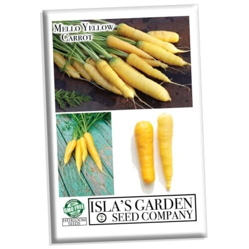 Mello Yellow Carrot Seeds for Planting, 100+ Seeds Per Packet, (), Non GMO