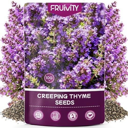 20000+pcs Seeds for Planting, Non-GMO Perennial Ground Cover Creeping Thyme