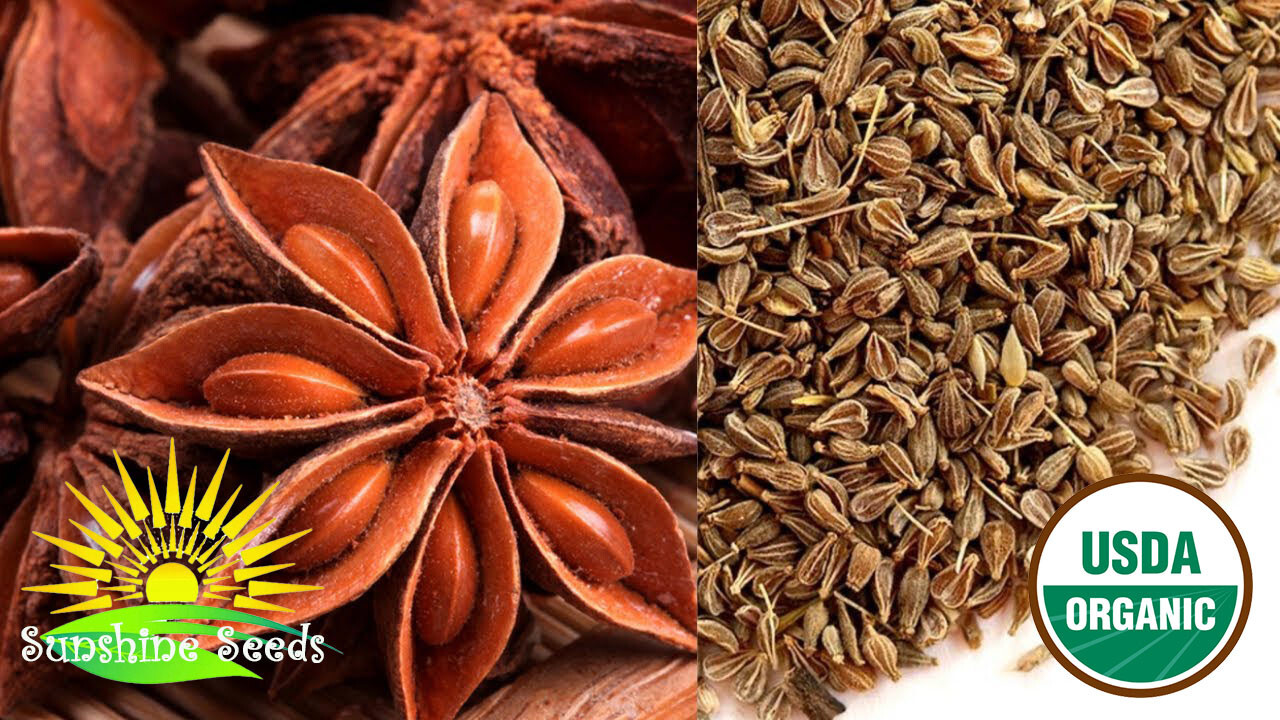 Anise Seeds (200) / ORGANIC / FLORIDA GROWN / DELICIOUS HERB