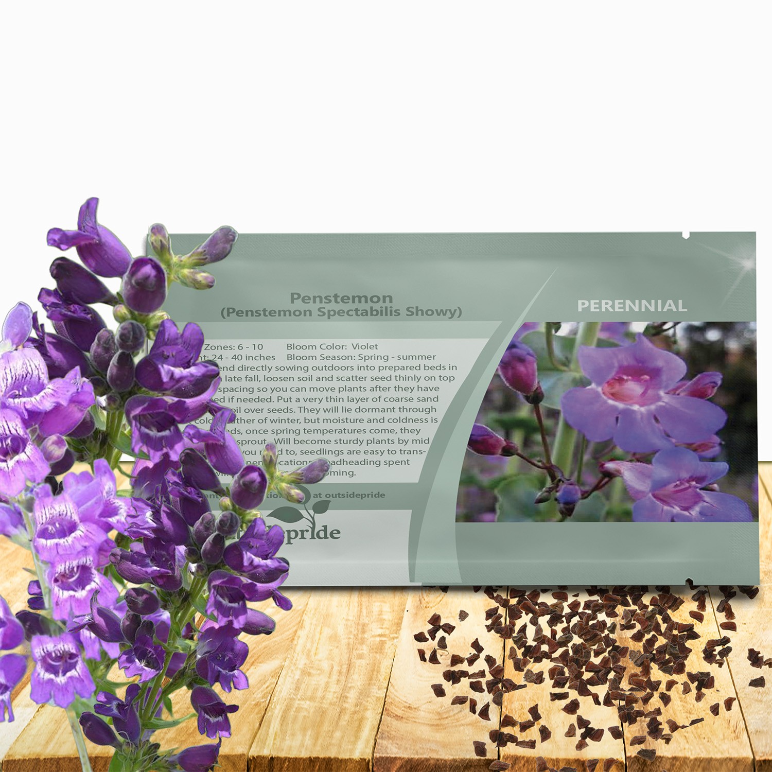 500 Seeds Penstemon Showy Penstemon Flower Seed For Xeriscape Gardens