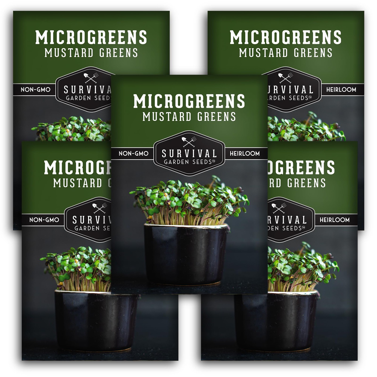 Spicy Mustard Microgreen Seeds for Indoor Sprouting – Fast Germination, 5 Packs