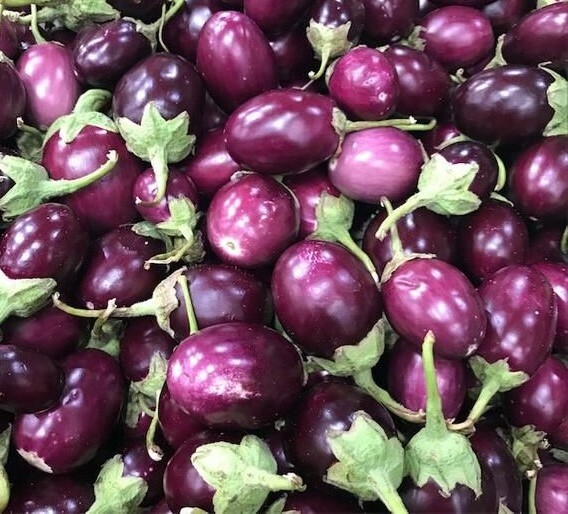 50+ SEEDS MINI ROUND PURPLE EGGPLANT/THAI EGGPLANT NON GMO FRESH SEEDS,USA