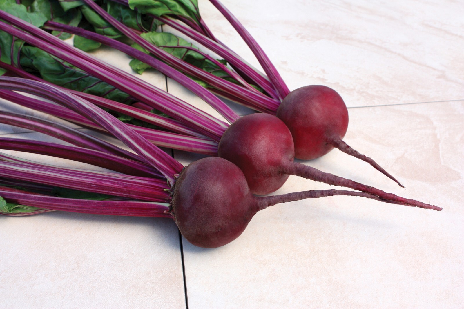 Early Wonder Tall Top beet seeds heirloom JUICING! delicious in salads HEALTHY!