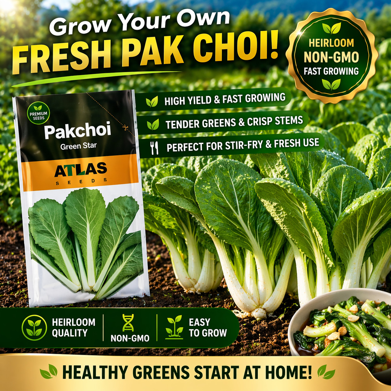 Green Star Pak Choi Seeds 300+ Non-GMO Sweet Crisp Fast Growing High Yield