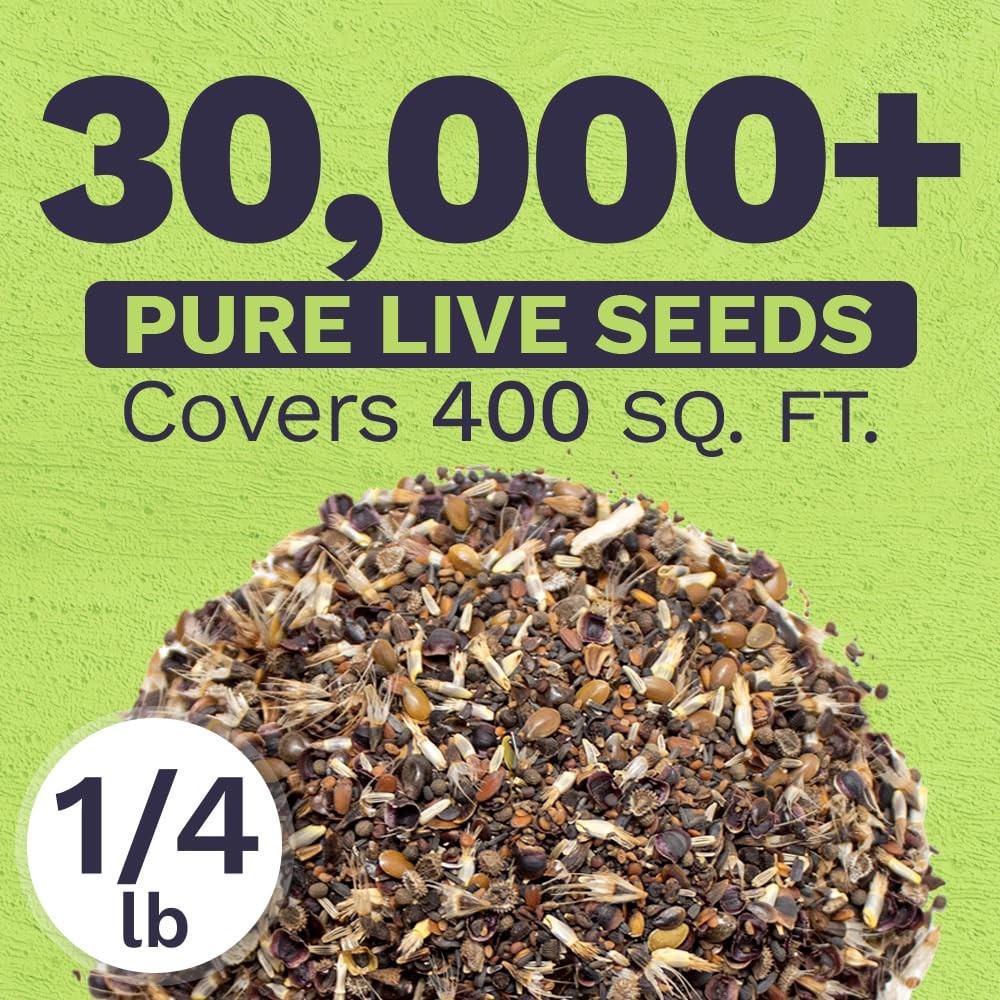 California Wildflower Seed Mix 1/4 lb Bulk 30,000+ NonGMO Seeds