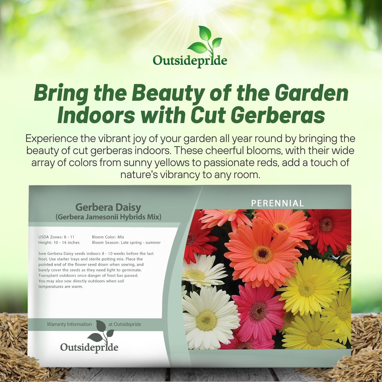200 Seeds Gerbera Seeds For Planting | Perennial Gerbera Flower Seed Mix