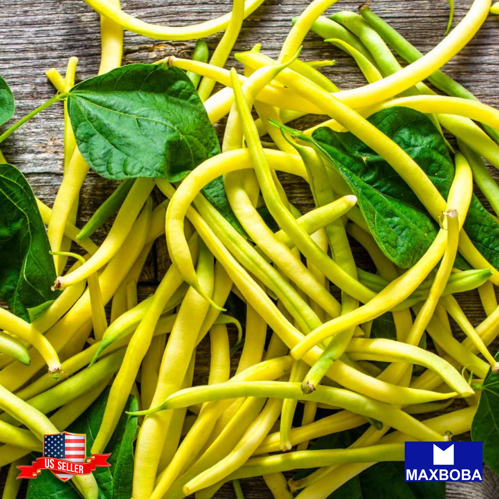 04 Golden Wax Bean Fresh Seeds – Organic Non-GMO Heirloom Vegetable