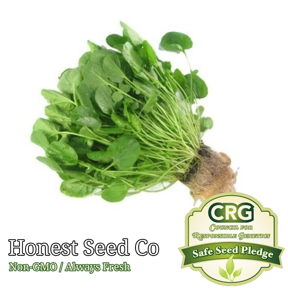 Upland Pepper Cress Seeds | Non-GMO | Fresh Garden Seeds