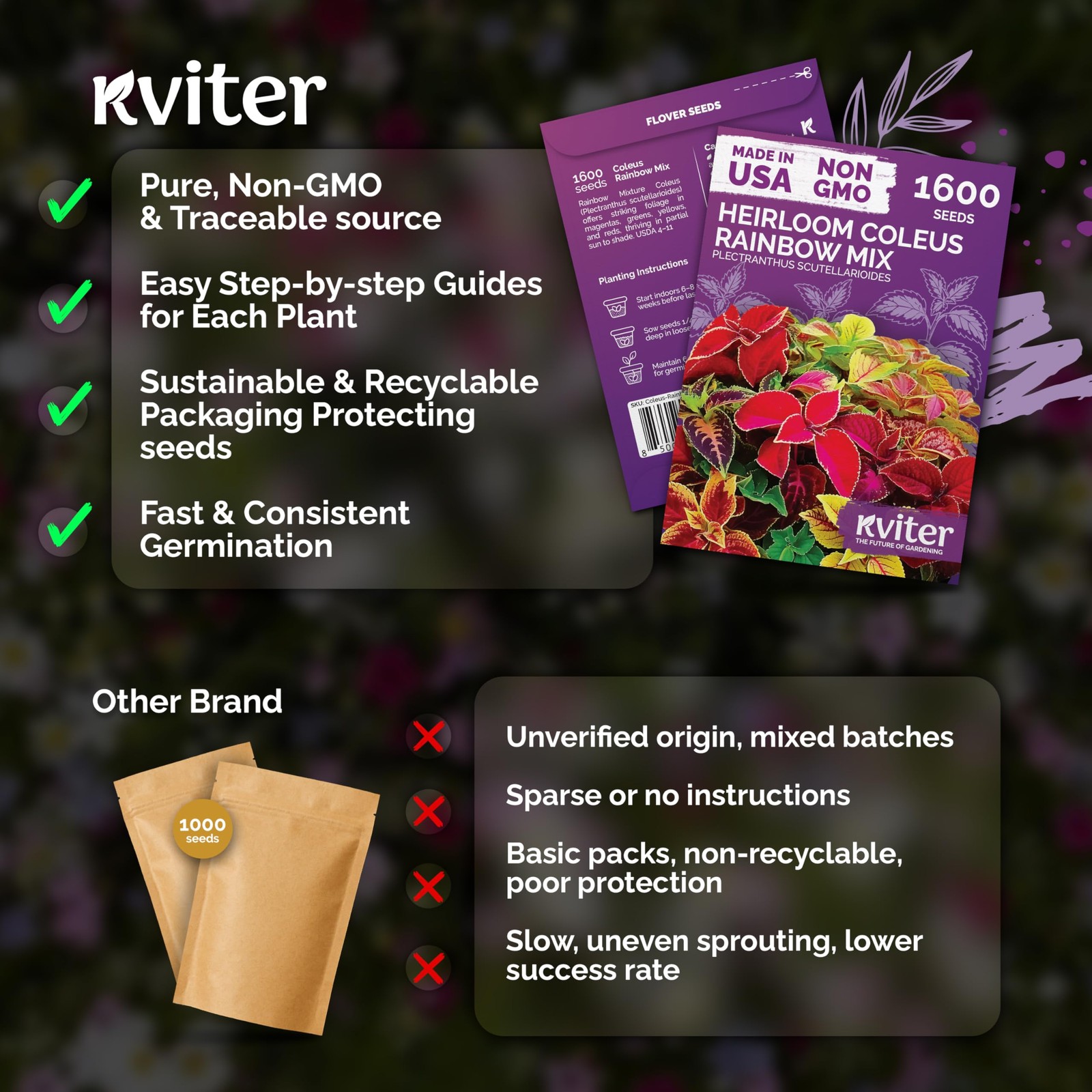 KVITER 1600 Rainbow Coleus Seeds for Planting Mix (Plectranthus scutellarioides)