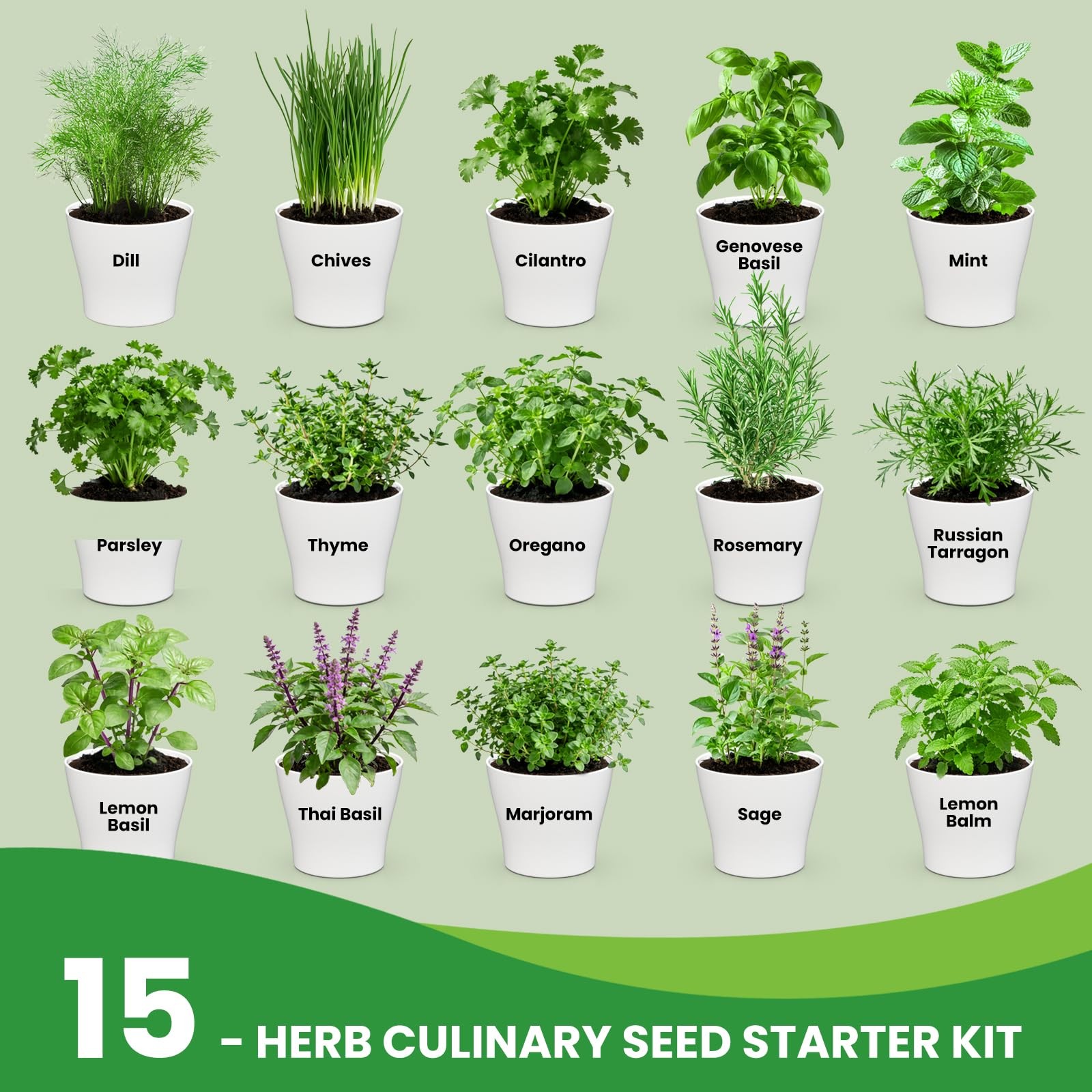 Herb Garden Starter Kit – 12800+ 15 in 1 Herb Heirloom Seed Kits for Indoor/O…