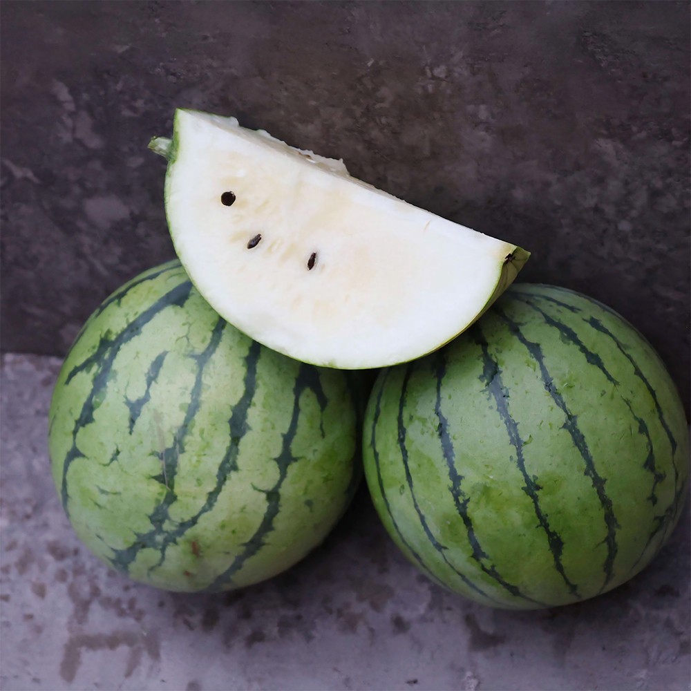 Cream Of Saskatchewan Watermelon Seeds | White Flesh 8-12 LBS | Free Ship | 1048