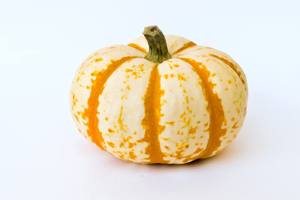 10 Dwarf Tiger Striped Pumpkin Seeds – Colorful Fall Decor – 10 Seeds