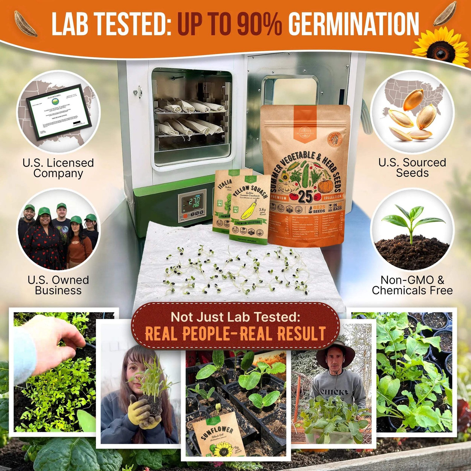 Summer Vegetable Seeds Variety Pack