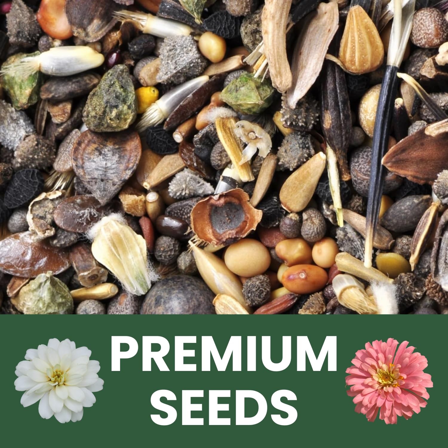 Zinnia Seeds for Planting – 16,000 Count – 4 Ounce Pouch for Gardens