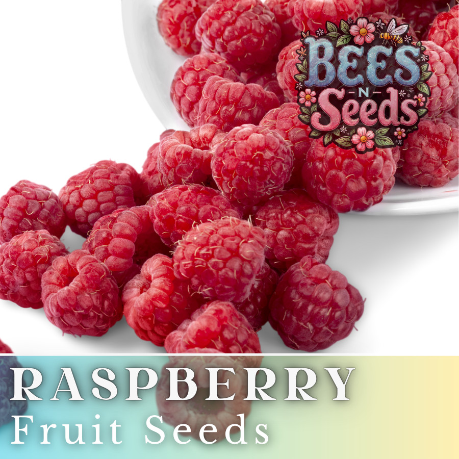 Prism Raspberry Seeds 125, 300, 750 Seeds Fruit Seeds, Non GMO, Bulk Seeds