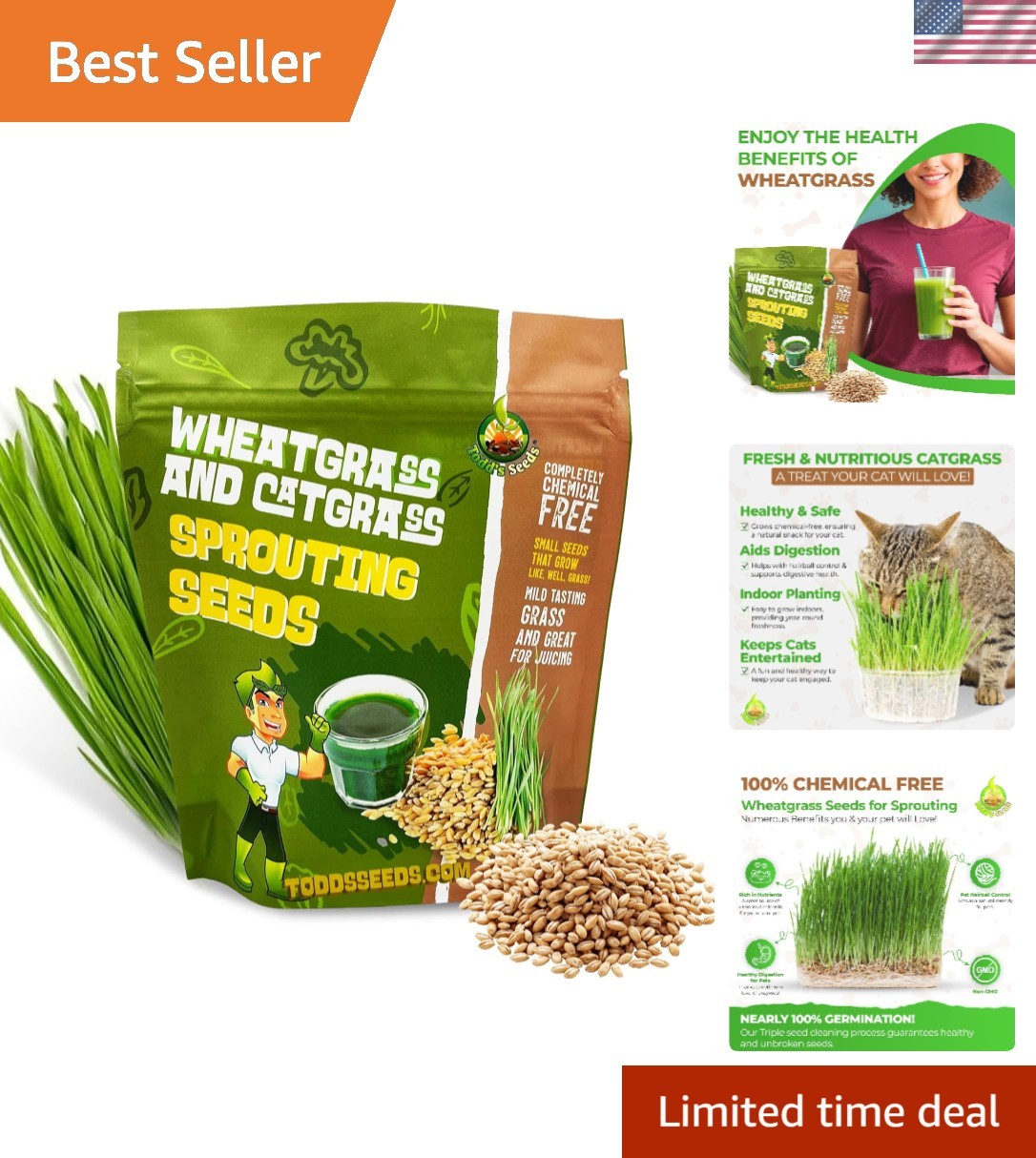 High Germination Hard Red Winter Wheat Seeds – Safe, Organic & Easy Grow, 1/4 lb