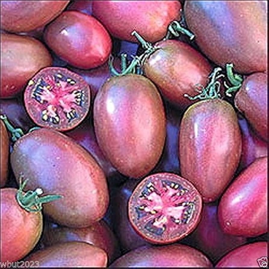25 Purple Russian Tomato Paste Seeds