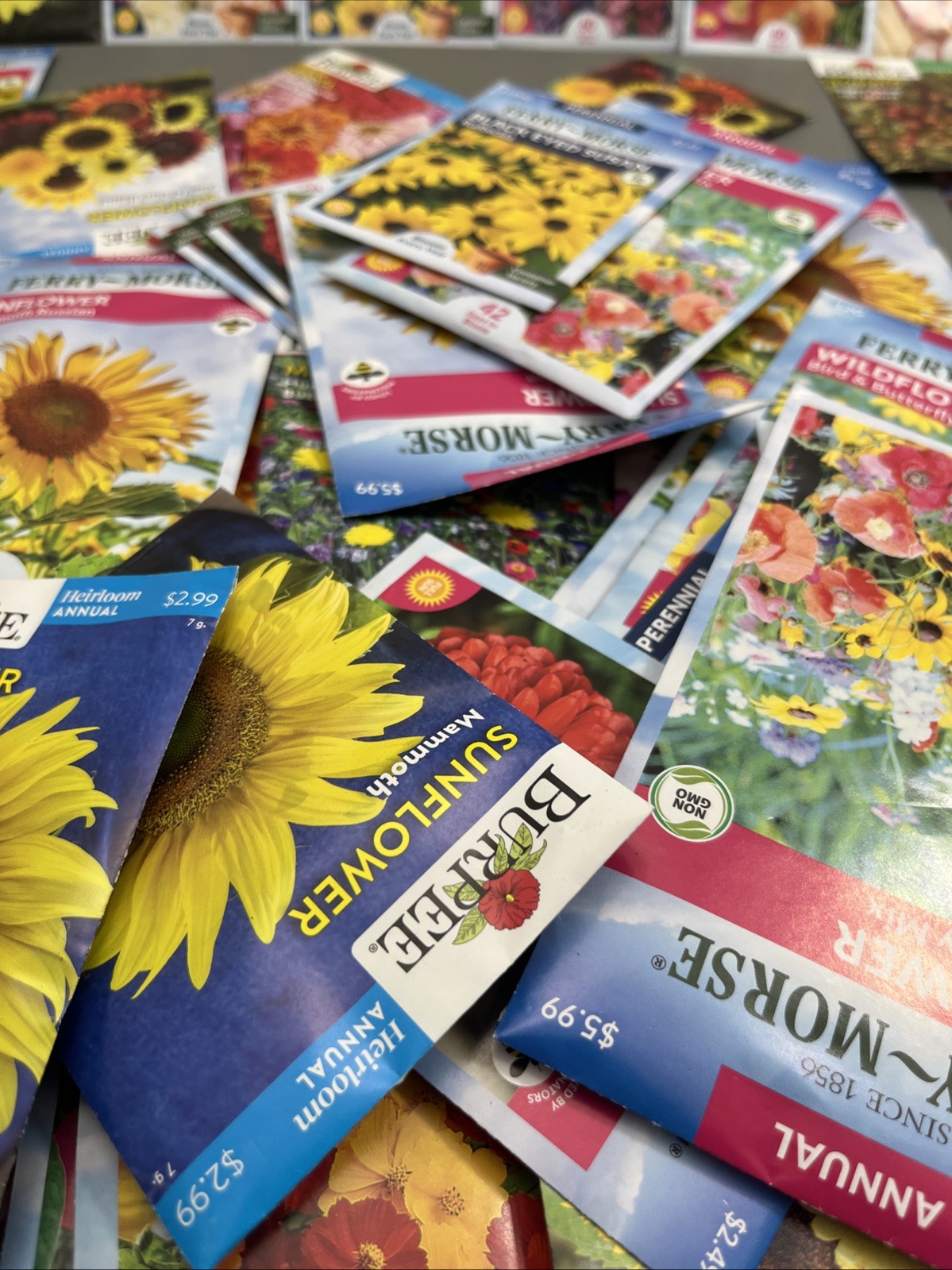 Flowers &Vegetable Plant Seeds (Assorted Lot of 100) sell by 11/26 Garden