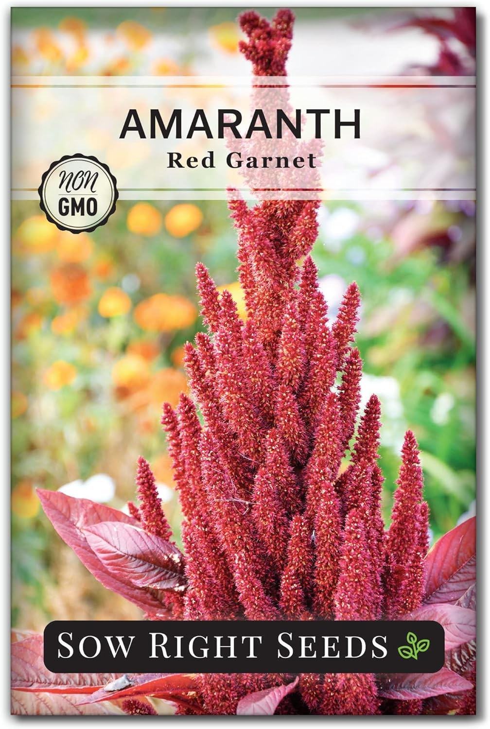 Red Garnet Amaranth Seeds – Non-GMO Heirloom Seeds for Gardening