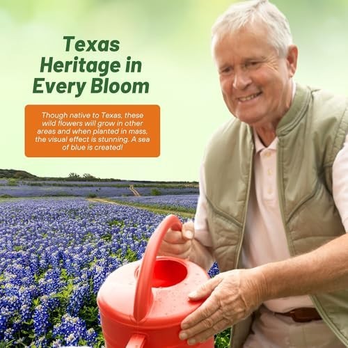 Texas Bluebonnet Seeds 1/4 Lb Annual Lupinus Texensis Drought-Tolerant