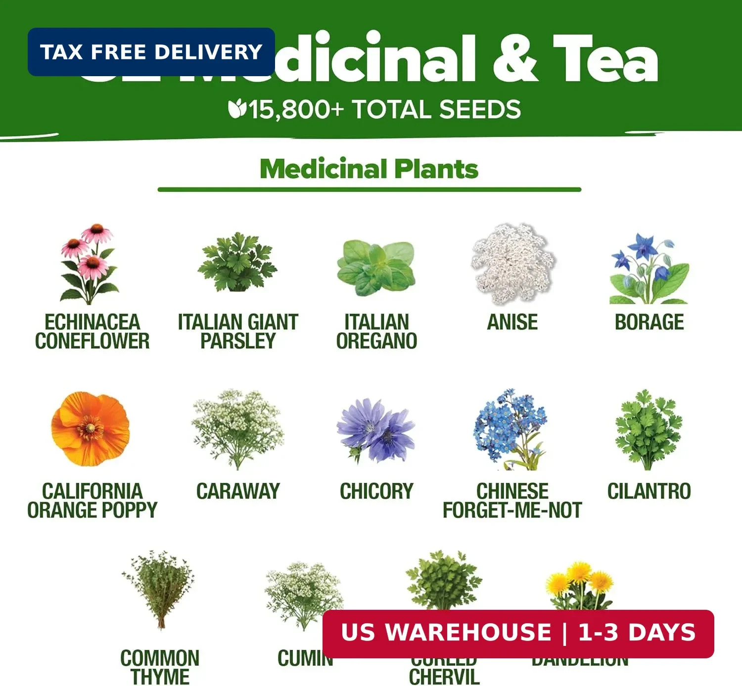 HOME GROWN Herb Seeds 32 Medicinal Herbs and Tea Variety Pack – Annual & Perenni