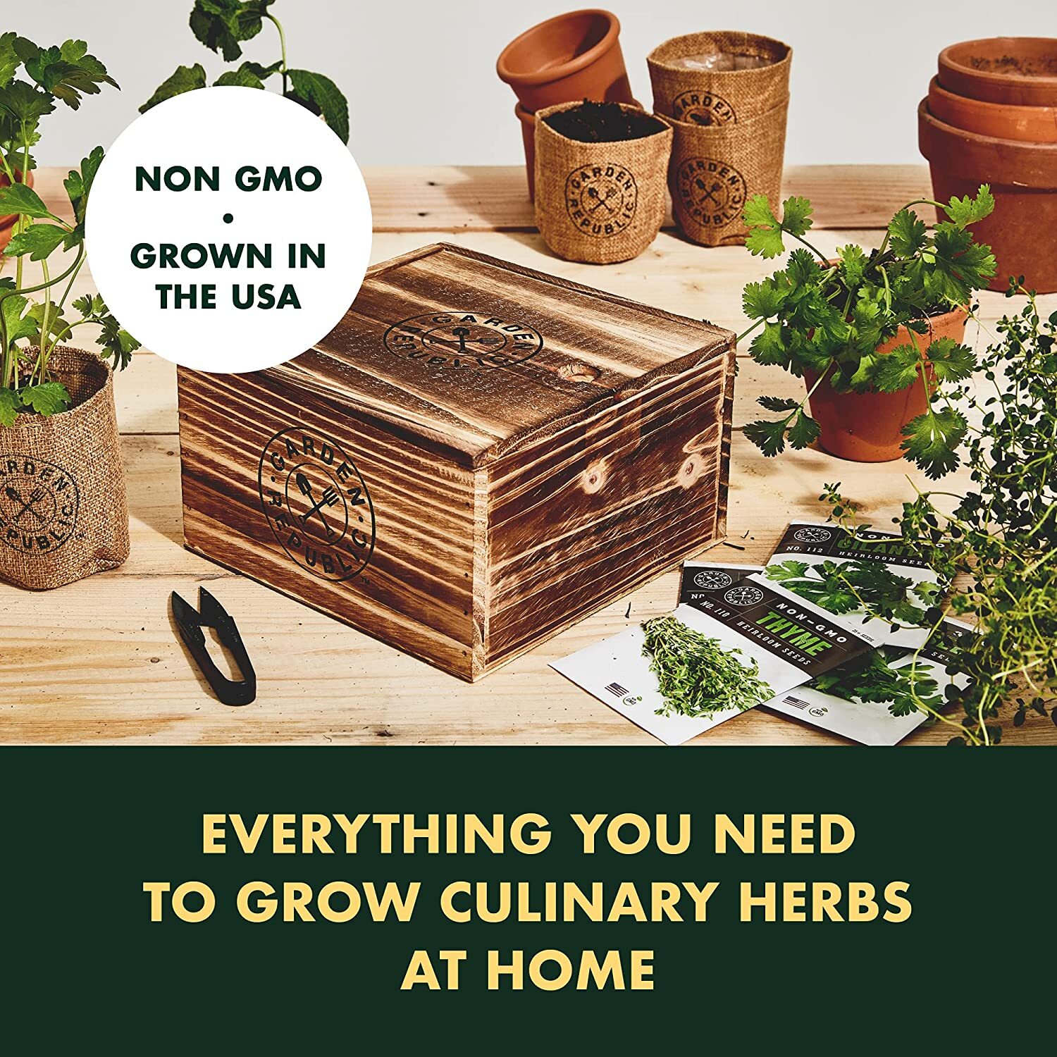Garden Republic Indoor Herb Garden Starter Kit – Coriander,Basil,Parsley,Thyme