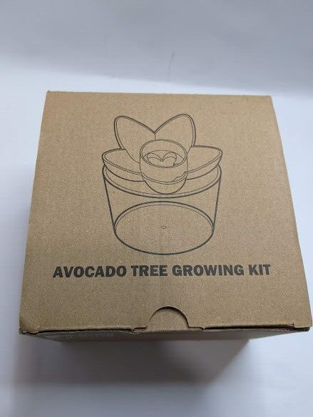 Avocado Tree Growing Kit with seed pod base and germination bowl Green OLIZE