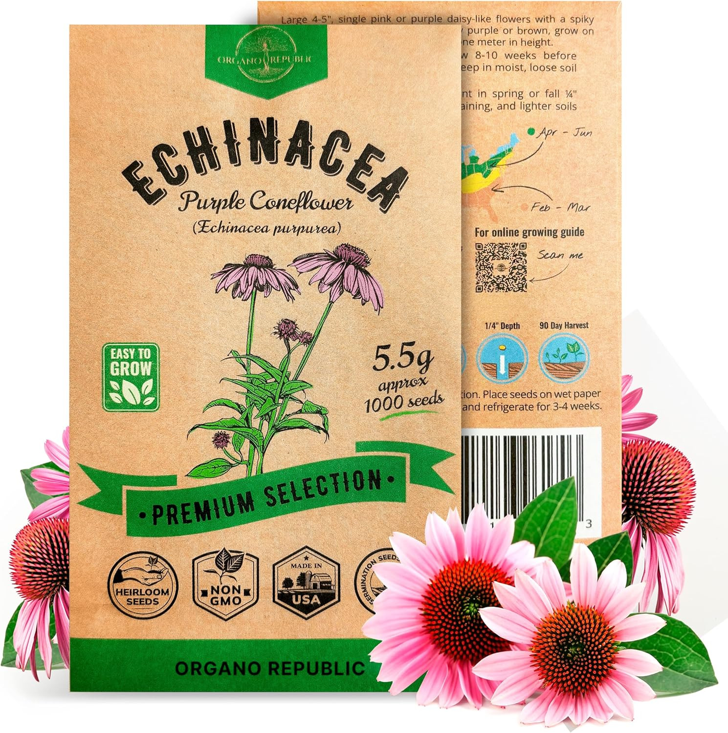 Echinacea Seeds Pack 5.5 G – over 1000 Non-Gmo Heirloom Echinacea Seeds for Plan