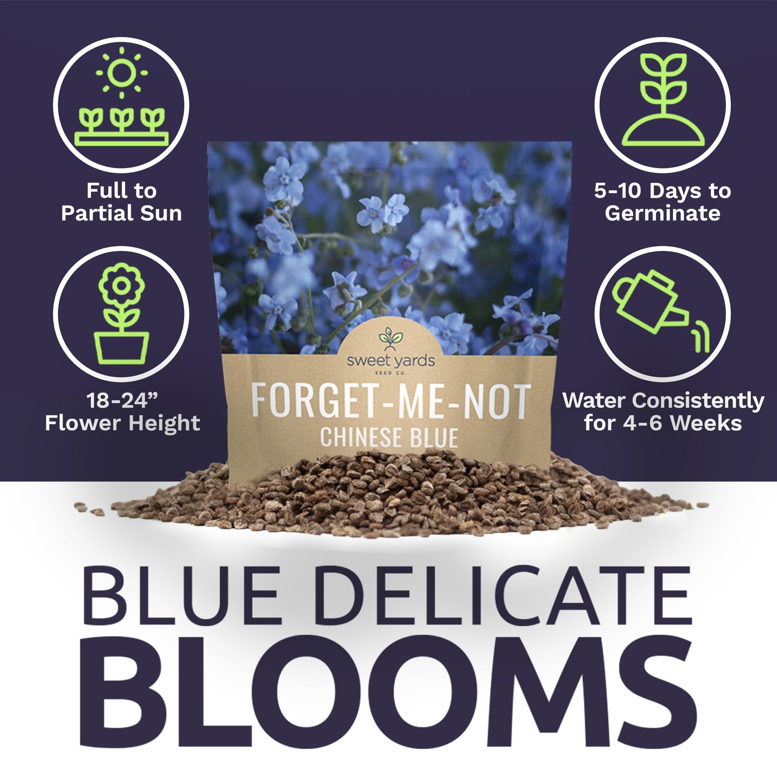 5500 PCS Blue Forget Me Not Wildflower Seeds Cynoglossum Amabile Packet