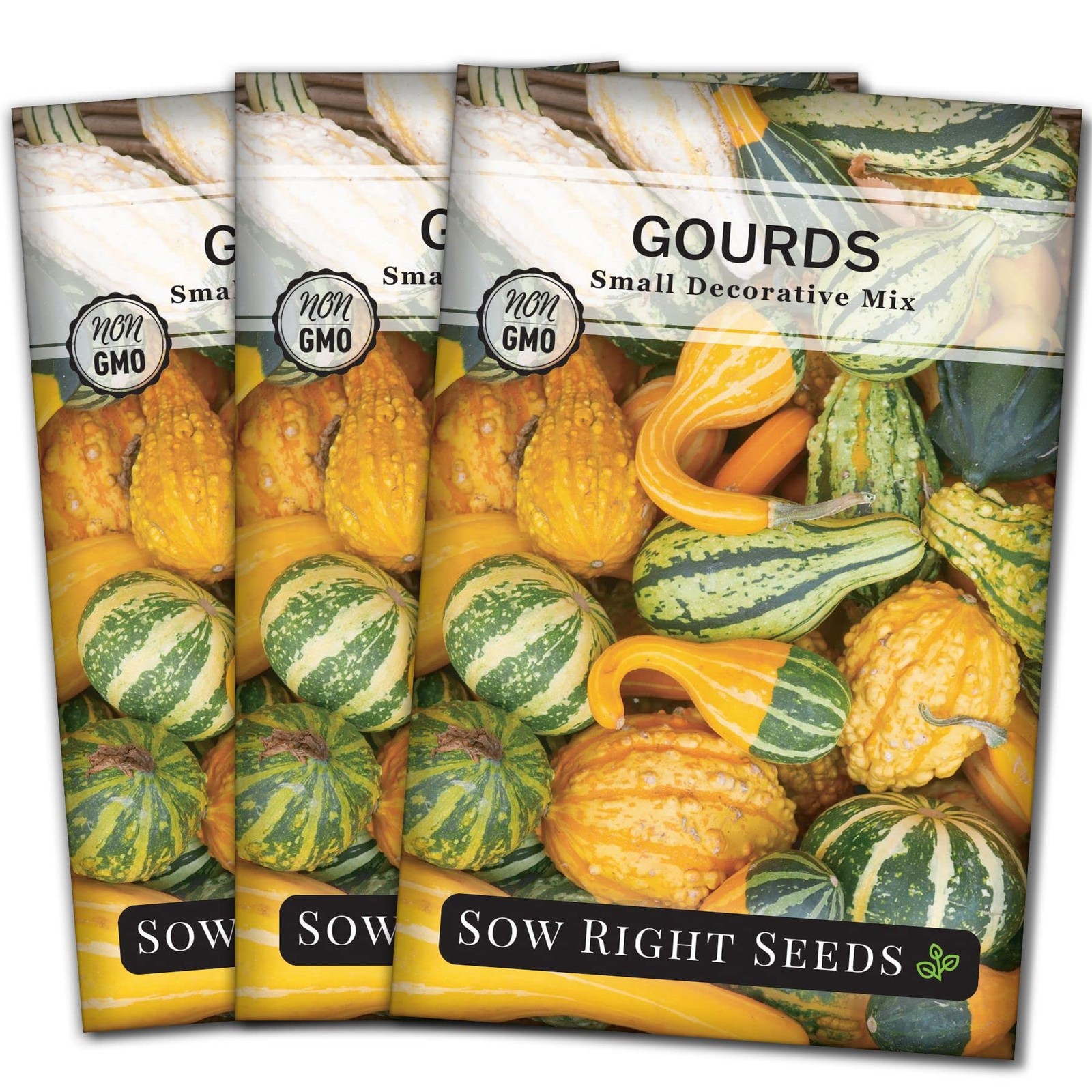 Decorative Small Gourds Mix Seeds – Non-GMO Heirloom for Home Garden Planting
