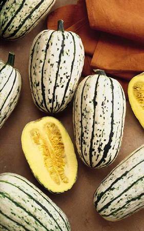 Squash Winter Bush Delicata 100 seeds
