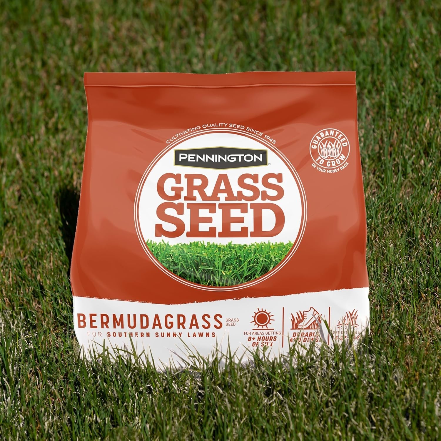 Bermudagrass Grass Seed 5 lb