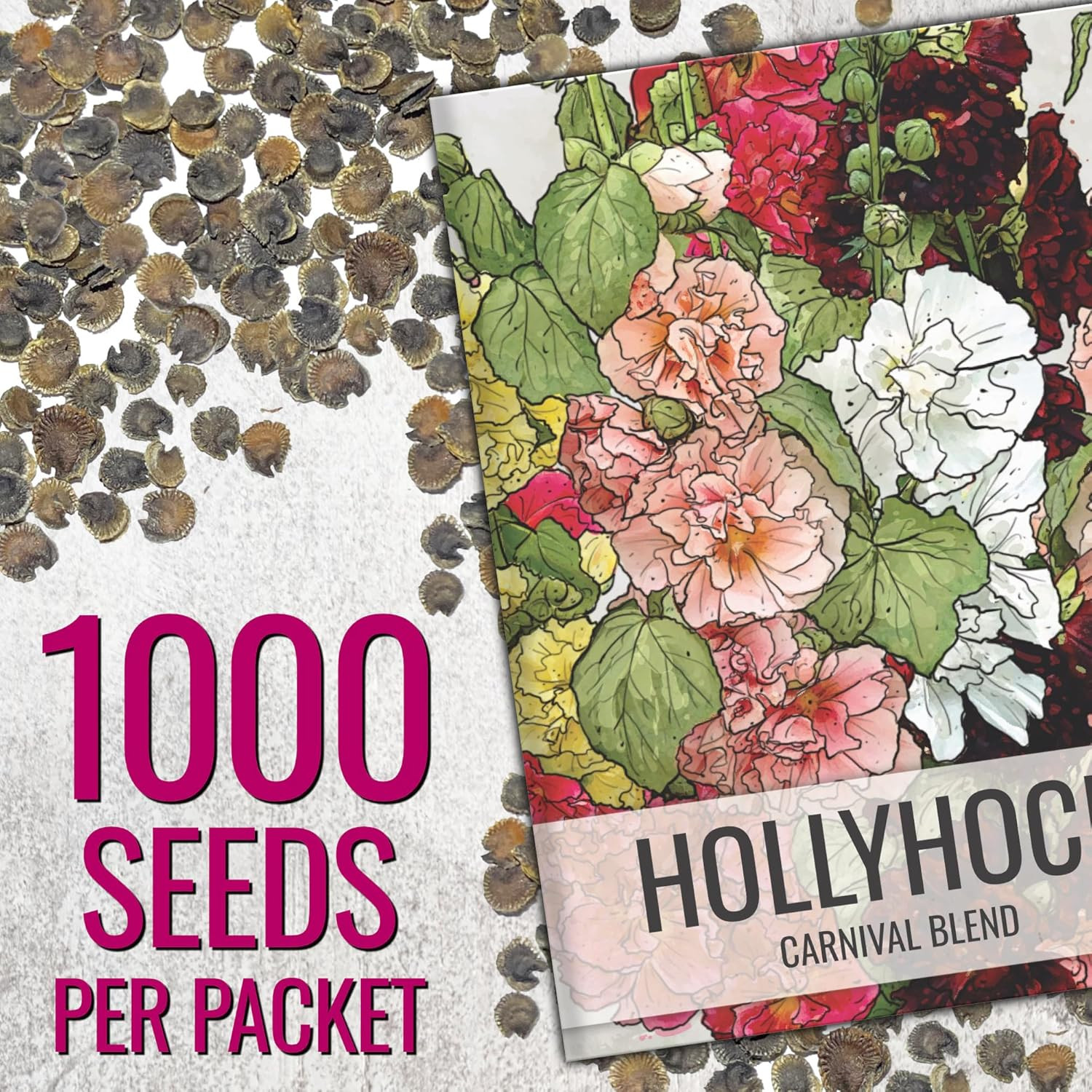Hollyhock Seeds Mixed Carnival | 1,000+ Heirloom Flower Seeds Alcea Rosea | Bien