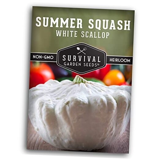 – White Scallop Summer Squash Seed for Planting – Packet with Instructions 1