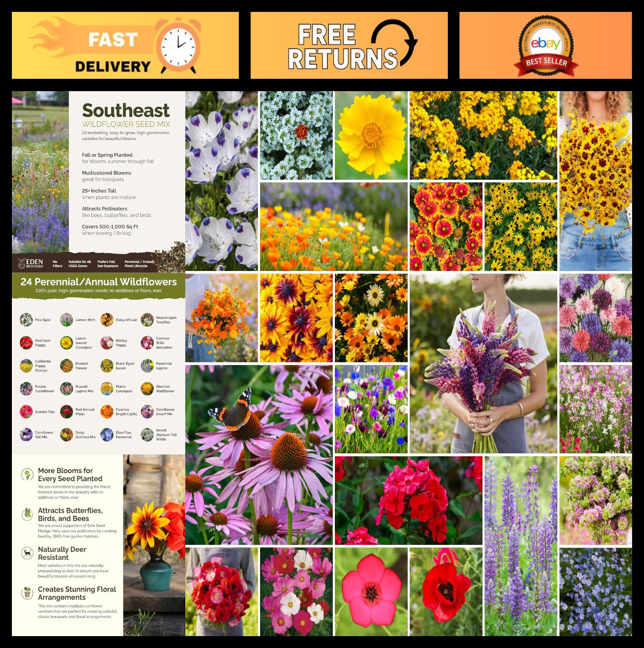 Southeast Wildflower Seed Mix – 1 lb, 480,000+ Seeds, Attracts Pollinators, Zone