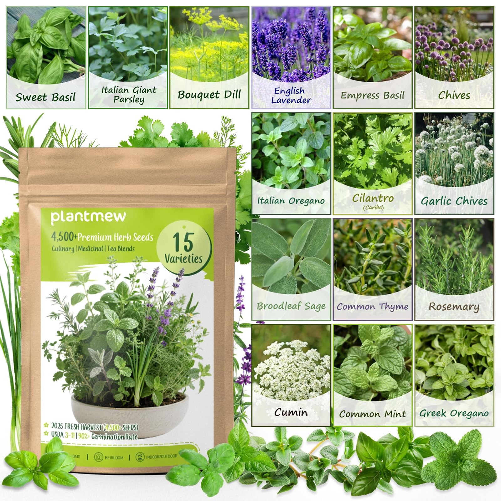 Herb Seeds 15 Pack 4500+ Non GMO Heirloom Seeds Indoor Outdoor Garden Kit
