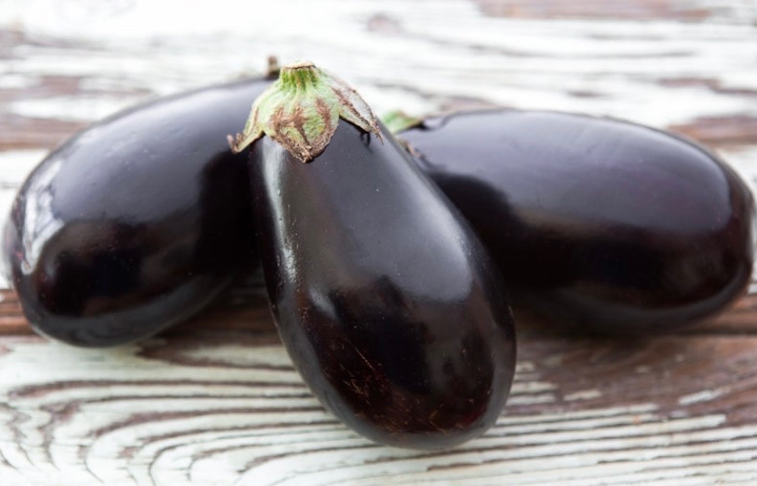 Black Beauty Eggplant Fresh Seeds, Meaty & Productive Organic Heirloom 2026🇺🇸
