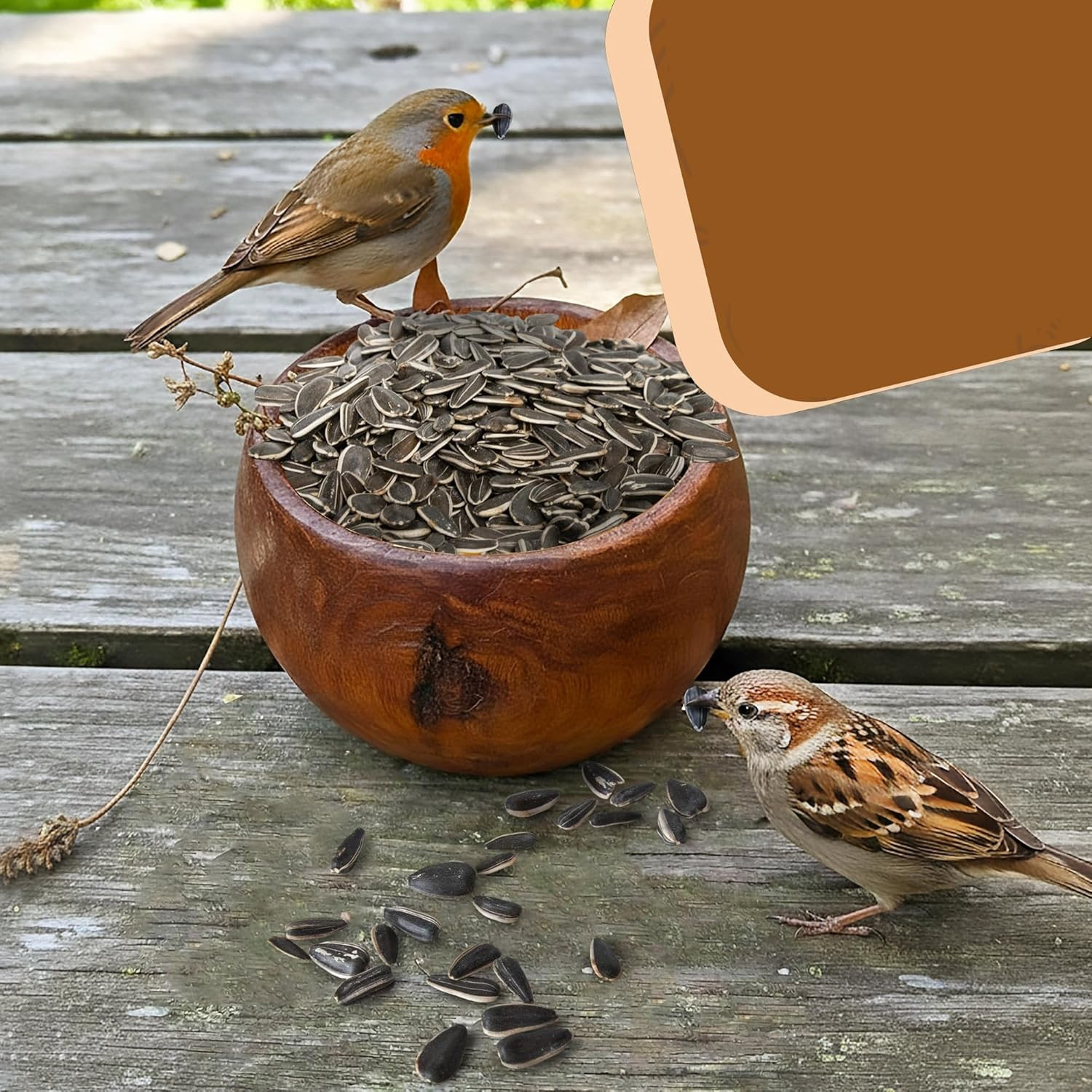 Striped Sunflower Seeds, Shelled Seeds for Birds – Premium Wildlife & Bird Food