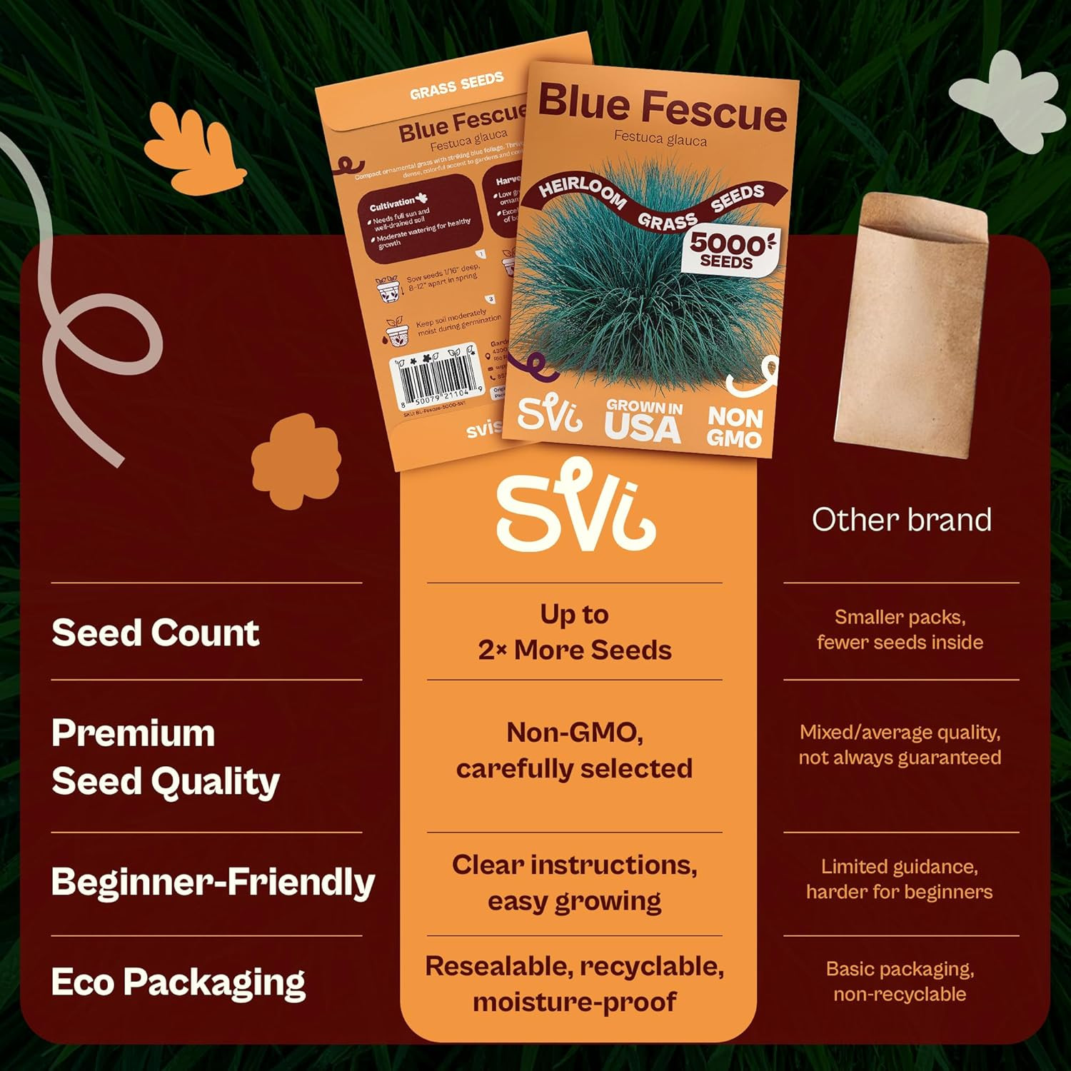 5000 Blue Fescue Seeds (Festuca Glauca) – Ornamental Blue Fescue Grass Seed Pack