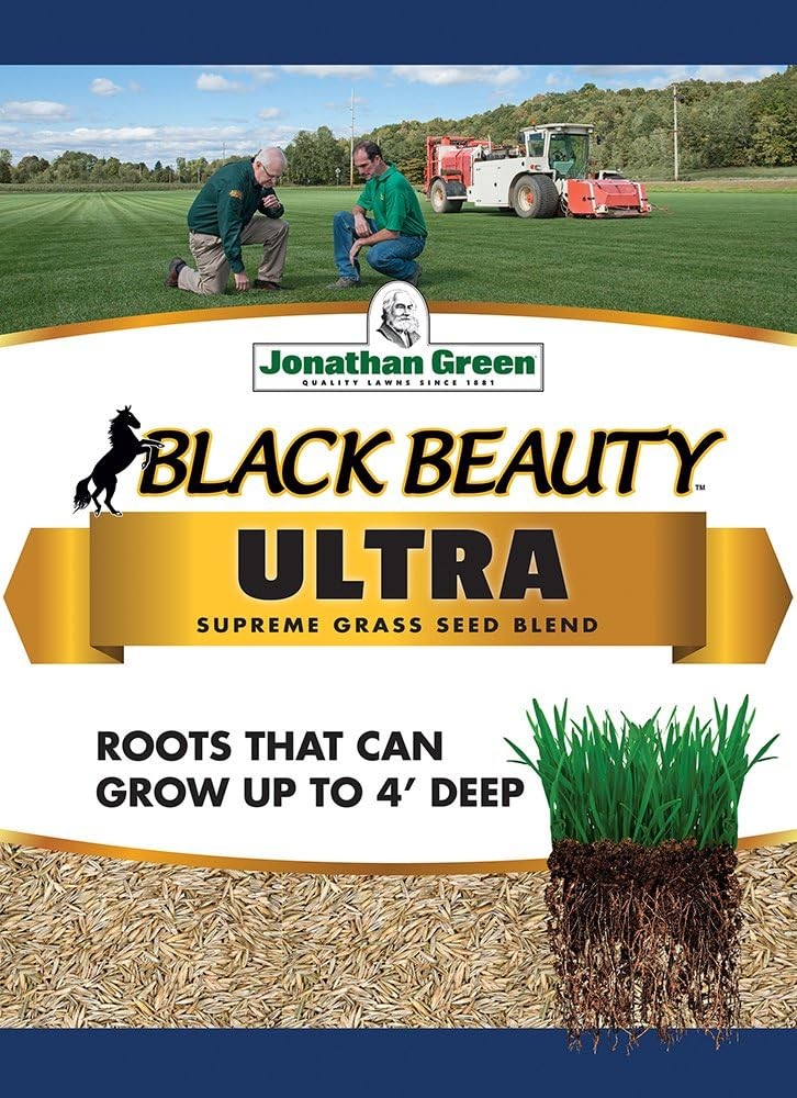 Green 40322 Black Beauty Ultra Grass Seed, 7 lb