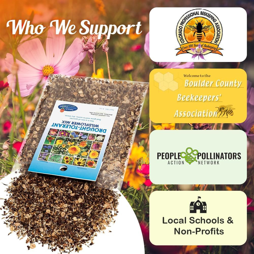 Drought Tolerant Wildflower Seeds – 4Oz Packet, Open-Pollinated Bulk Flower Seed