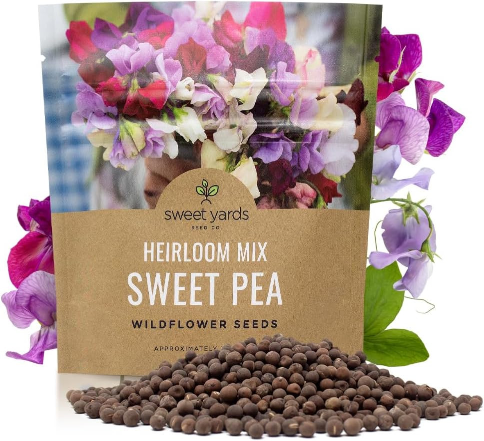 Sweet Pea Seeds Heirloom Mix – Bulk 1 Ounce Packet – over 350 Seeds – Large Frag