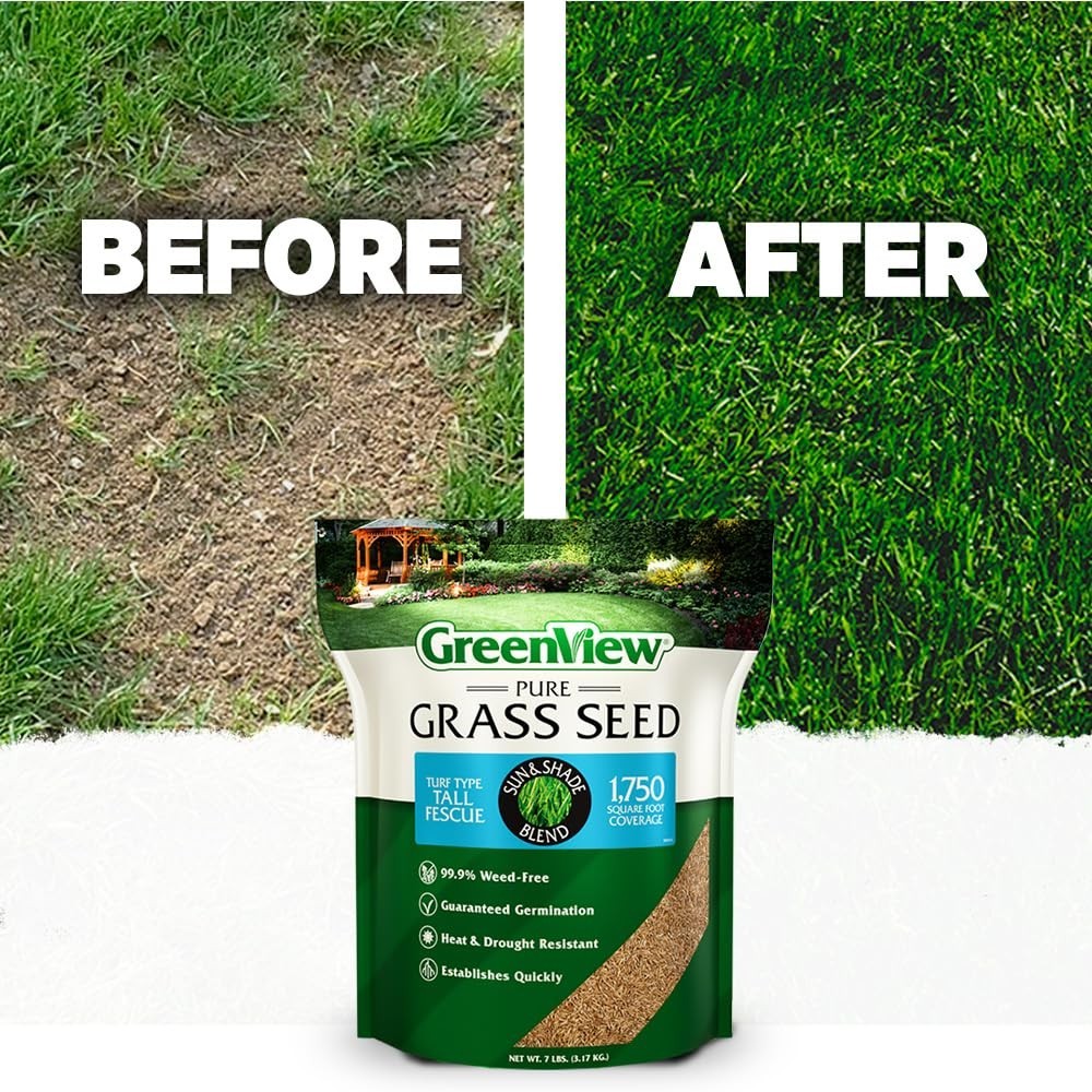 Tall Fescue Grass Seed – Sun & Shade Blend, 7 lb Bag, Covers 1,750 sq ft, Pure T