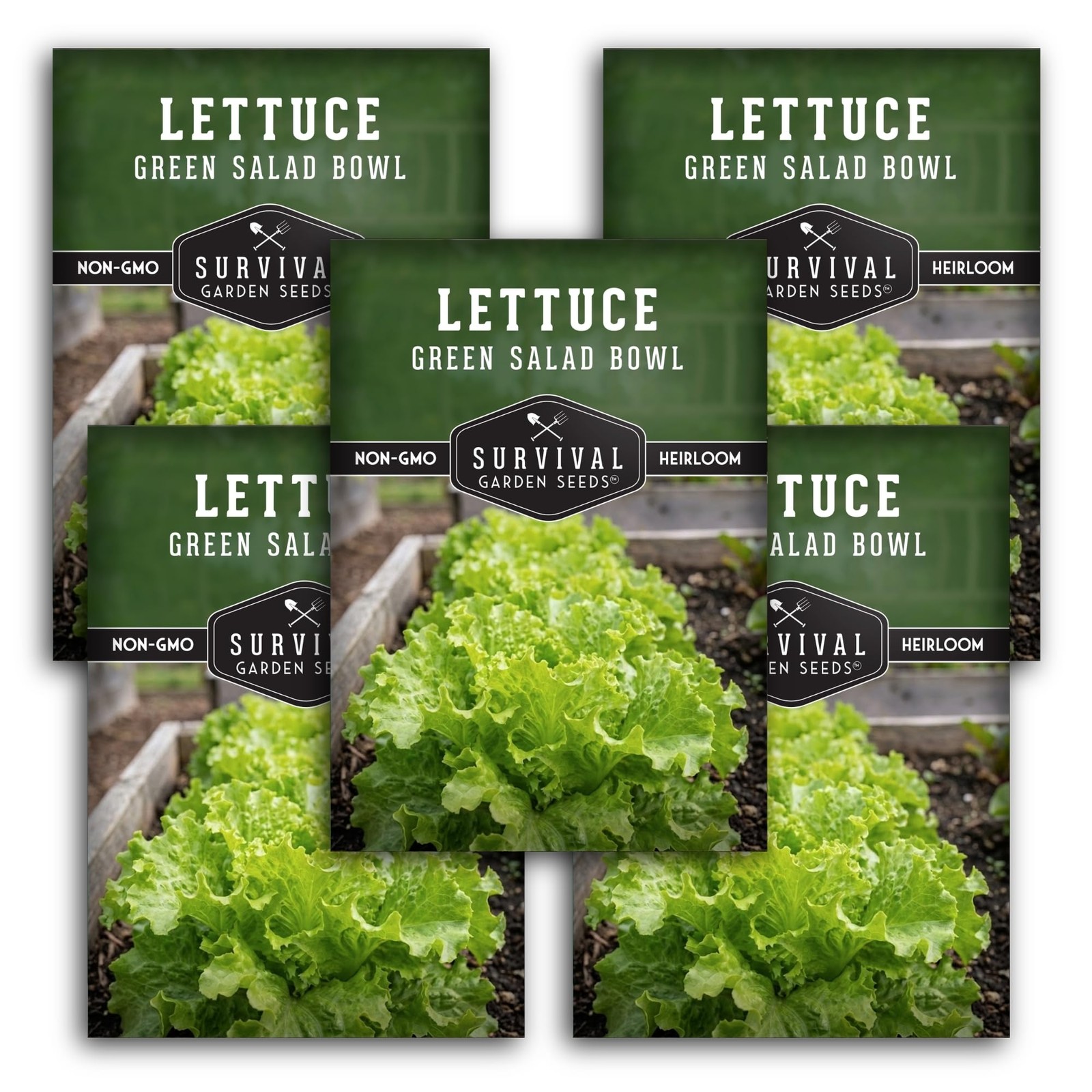 Heat Resistant Lettuce Seeds for Planting High Yield NonGMO Variety 5 Packs
