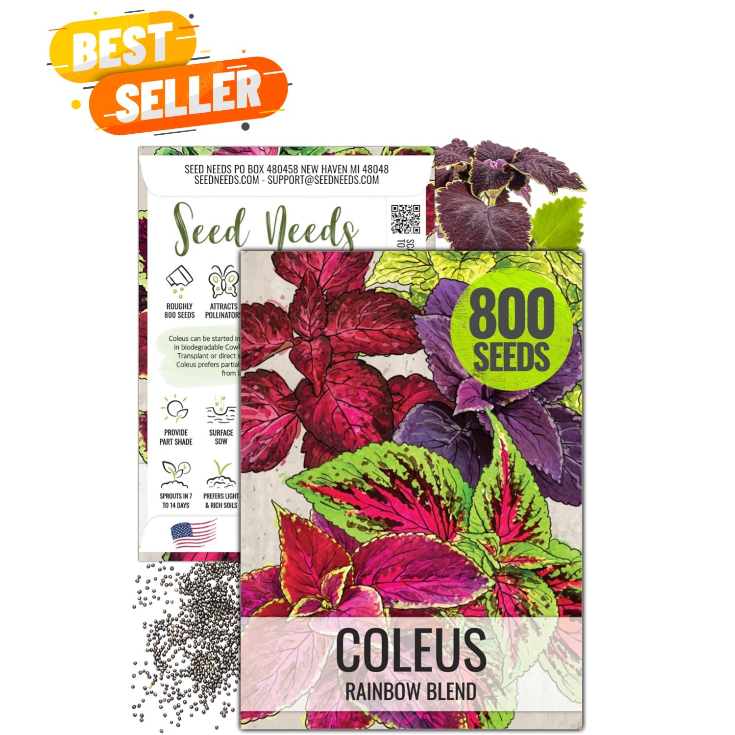 800 Heirloom Coleus Seeds – Vibrant Butterfly Garden Mix for Spring Planting